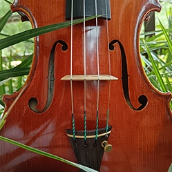 Marion Tissot 3 copie 4